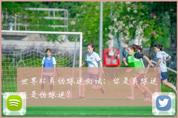 世界杯真伪球迷测试：你是真球迷还是伪球迷？