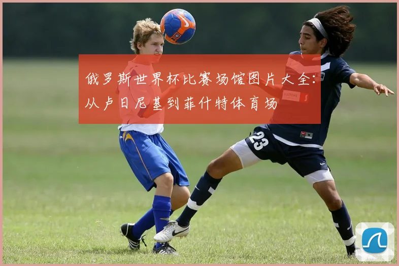 俄罗斯世界杯比赛场馆图片大全：从卢日尼基到菲什特体育场