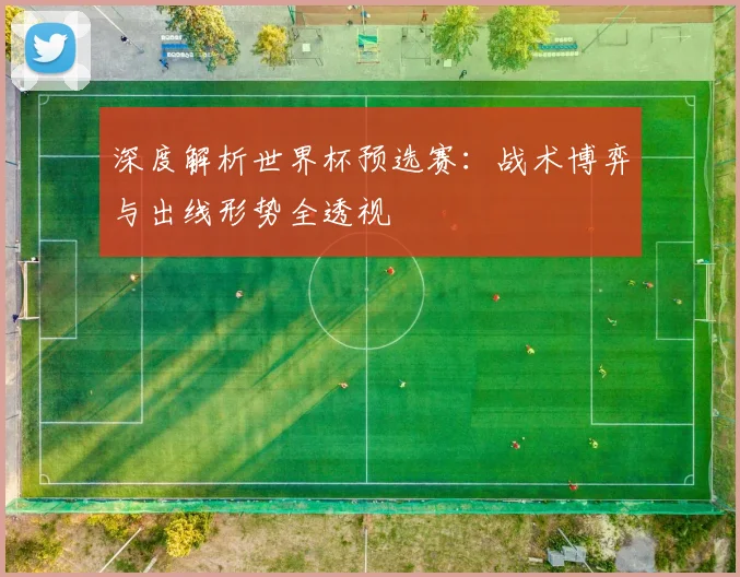 深度解析世界杯预选赛：战术博弈与出线形势全透视