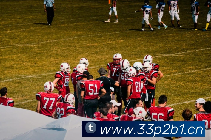 星空体育(中国)官方网站平台生态图